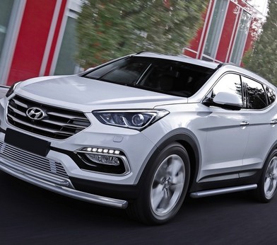 Решетка бампера d10 для Hyundai Santa Fe Premium (2015-) «Rival»