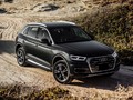 Порог-площадка «Premium-Black» для Audi Q5 (2017-) «Rival»