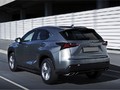 Порог-площадка «Premium-Black» для Lexus NX (2014-2017) «Rival»